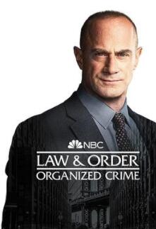 法律与秩序：组织犯罪第三季